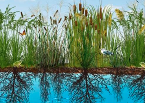 sustainable-water-treatment